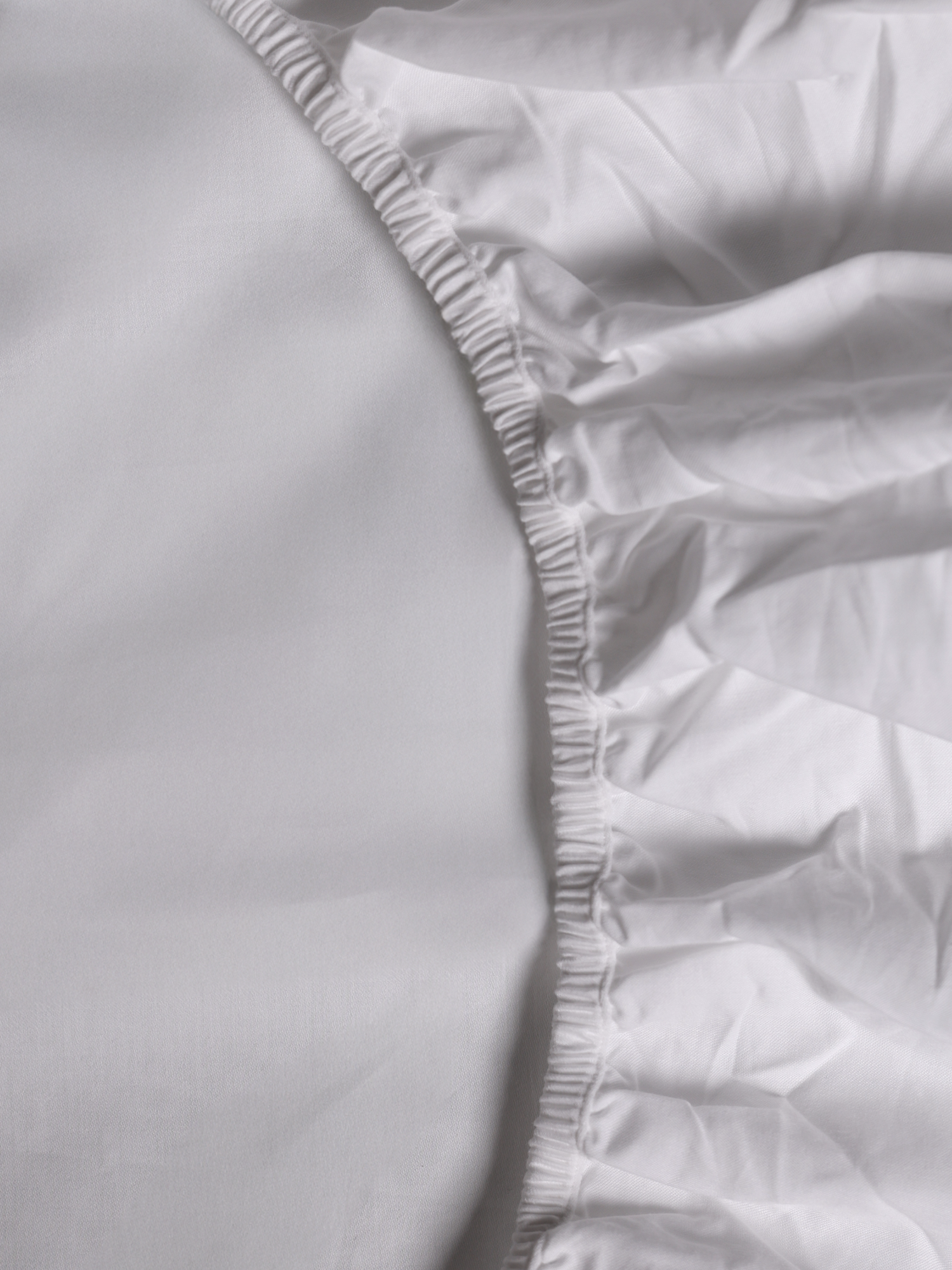 Savoy Cotton Fitted Sheet Set