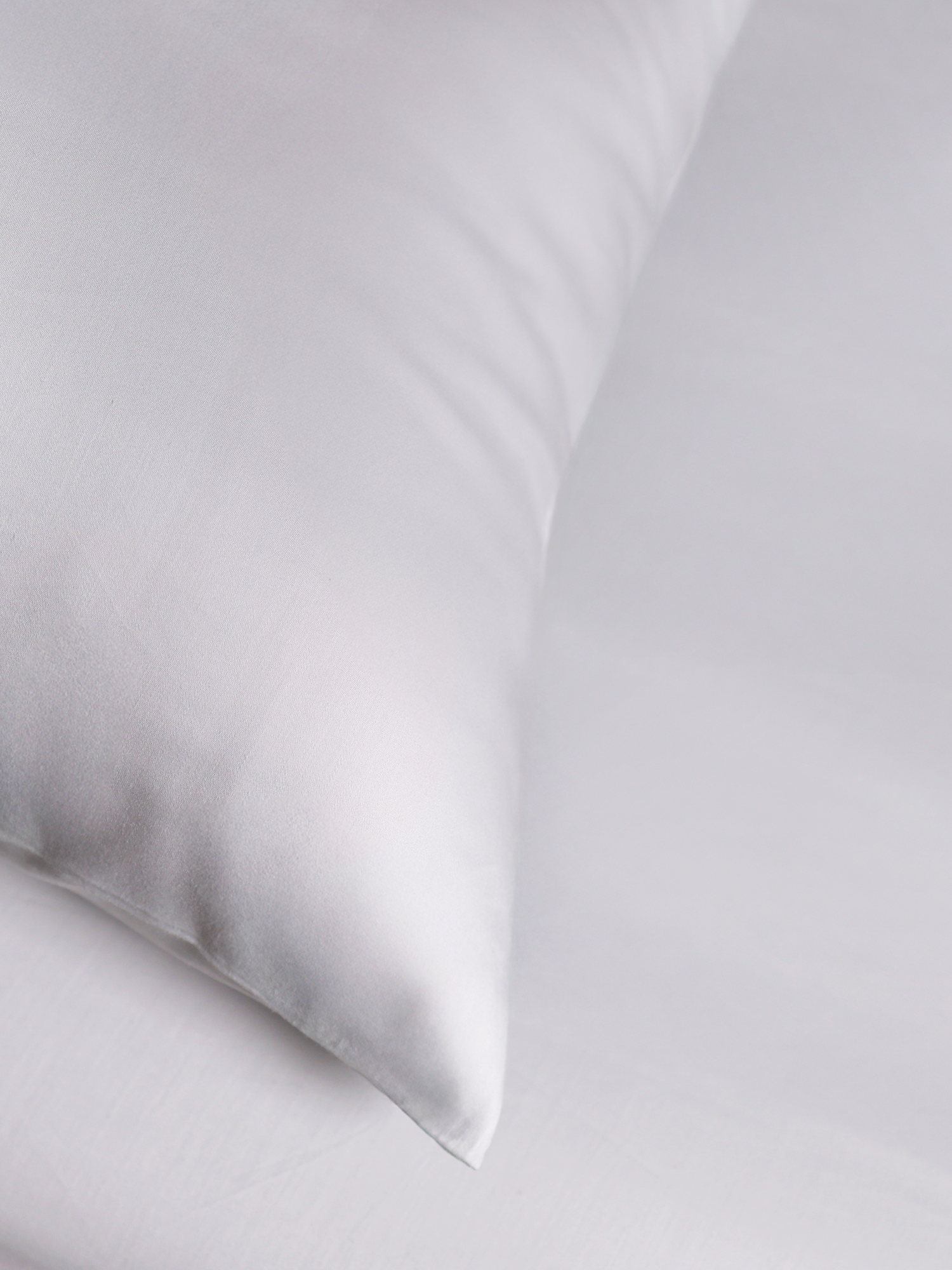Savoy Cotton Fitted Sheet Set