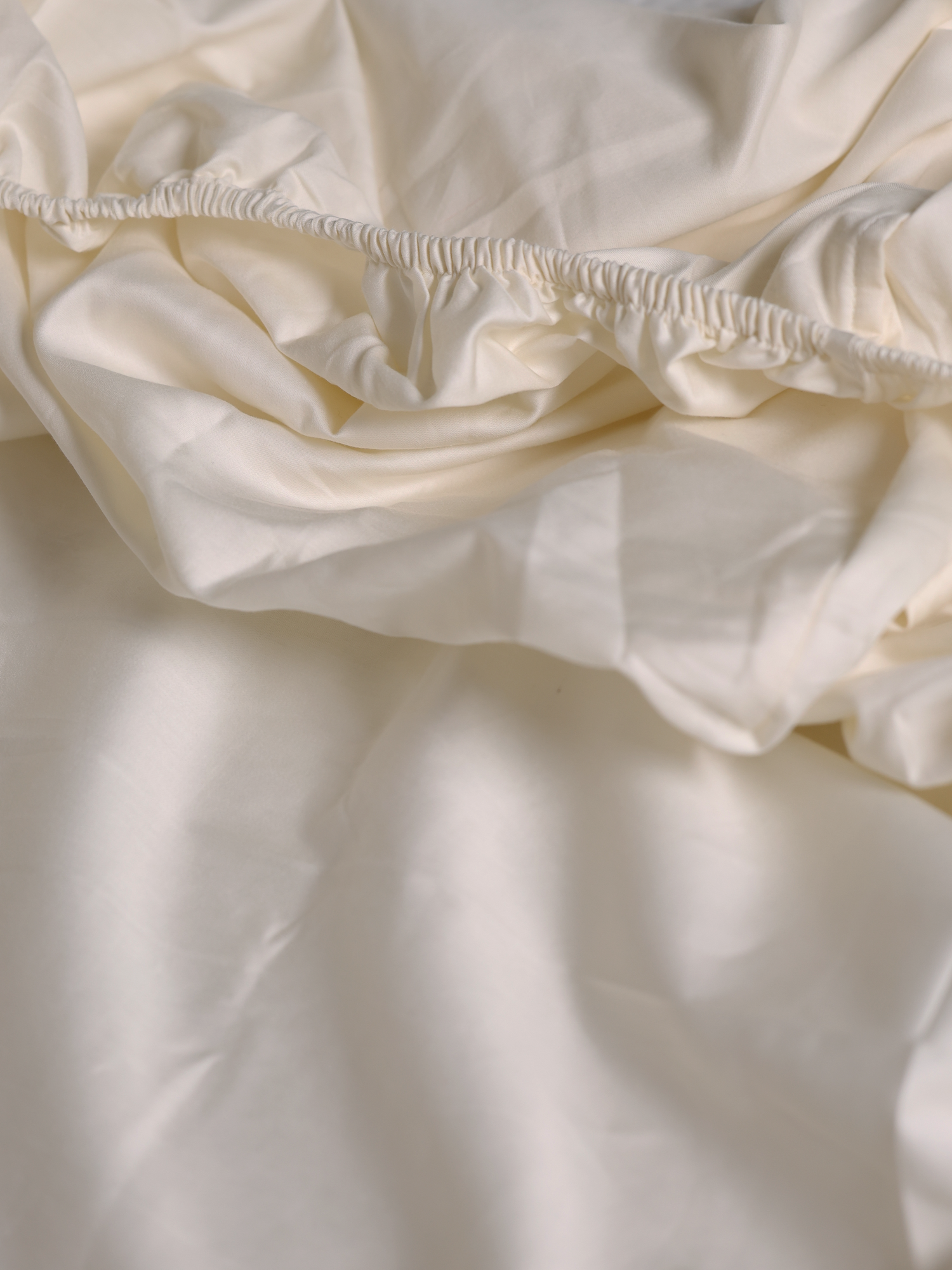 Roy Cotton Fitted Sheet Set