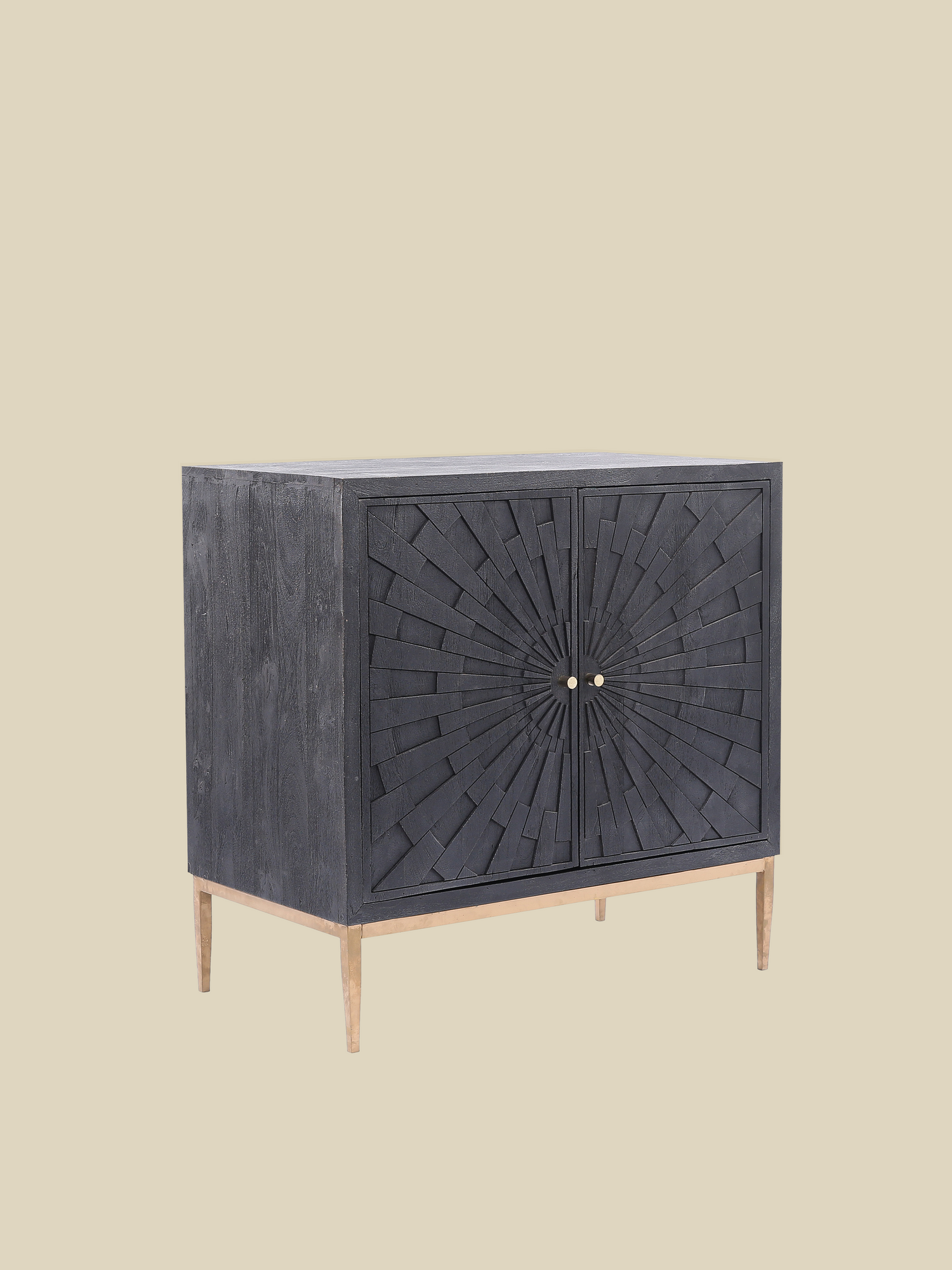 Verve Two Door Wooden Cabinet