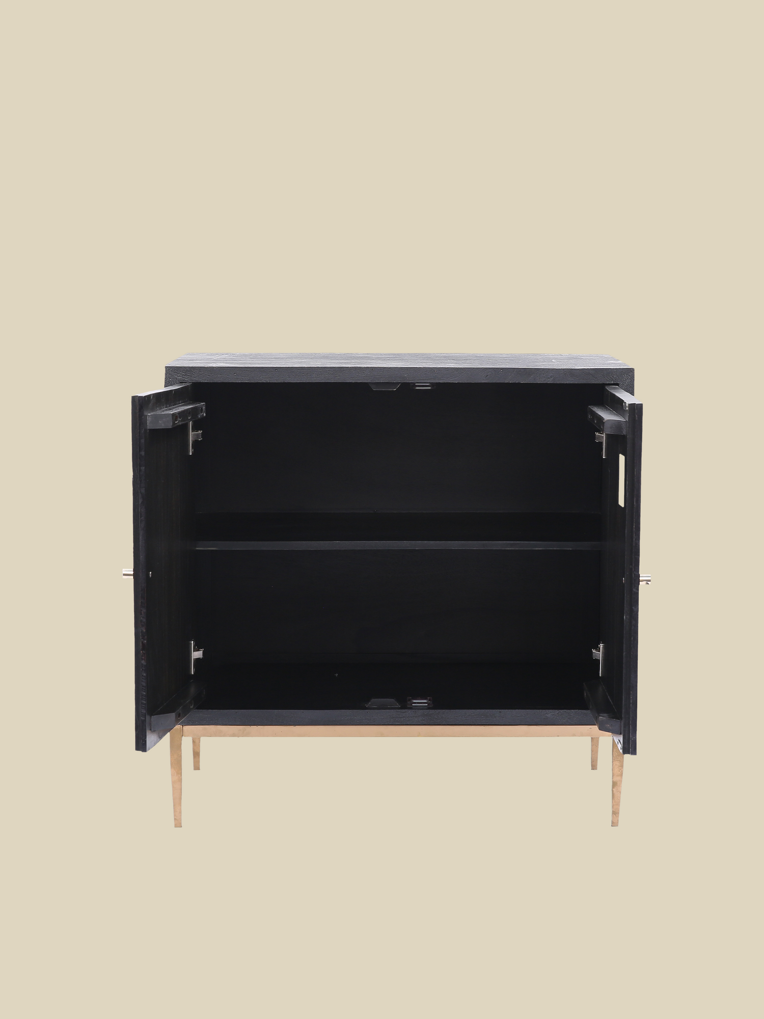 Verve Two Door Wooden Cabinet