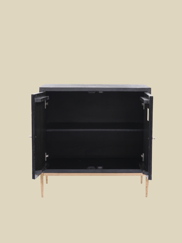 Verve Two Door Wooden Cabinet