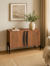Danton Two Door Wooden Cabinet