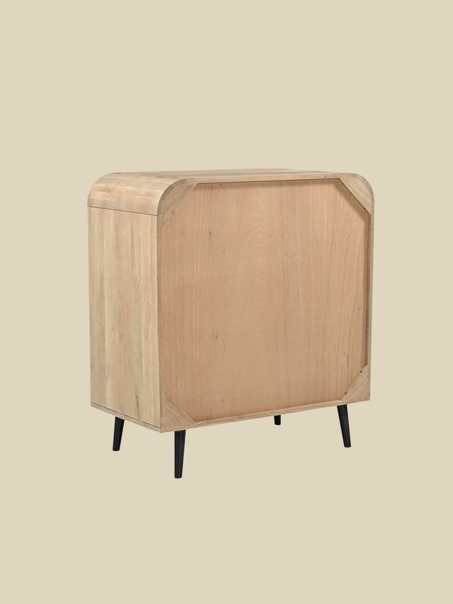 Cayman Two Door Wooden Cabinet