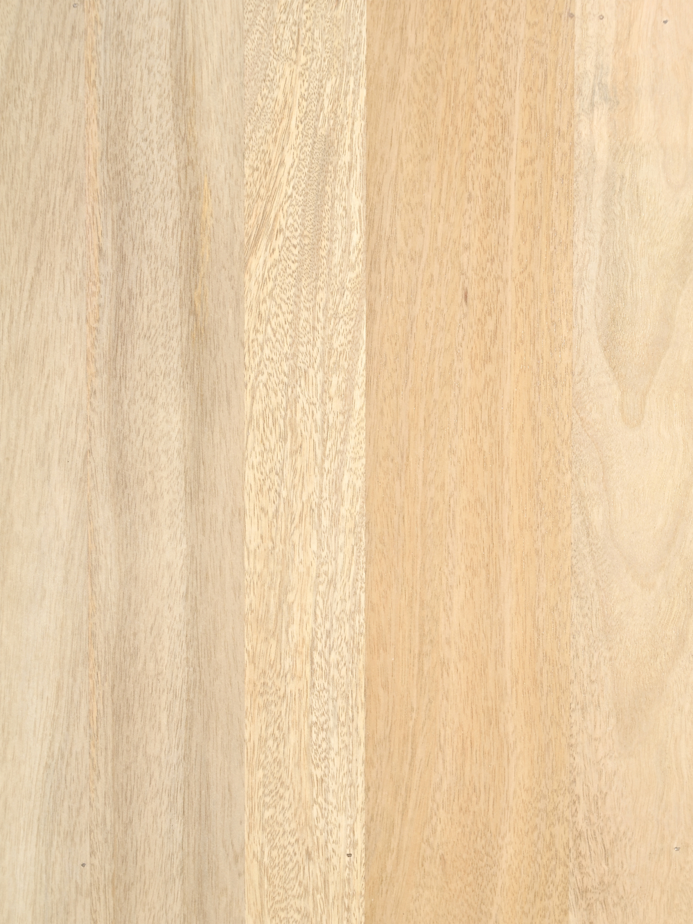 Luce Mango Wood Two Door Cabinet