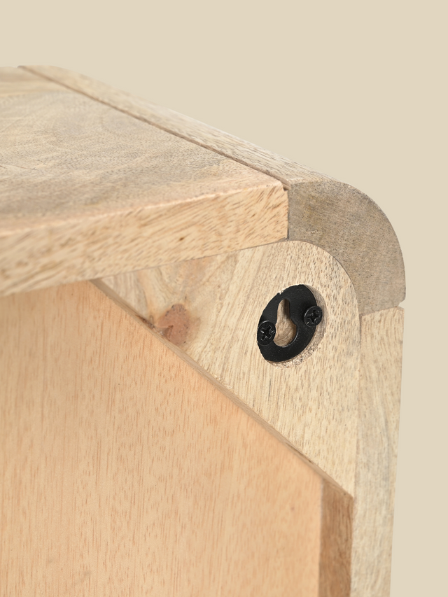 Luce Mango Wood One Door Cabinet