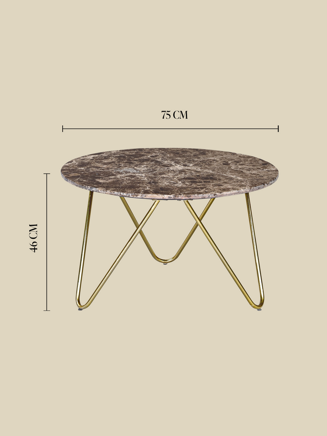 Aiden Marble Coffee Table - Gold Base