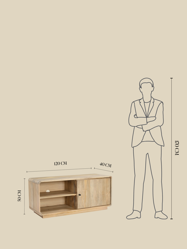 Luce Mango Wood One Door Media Unit