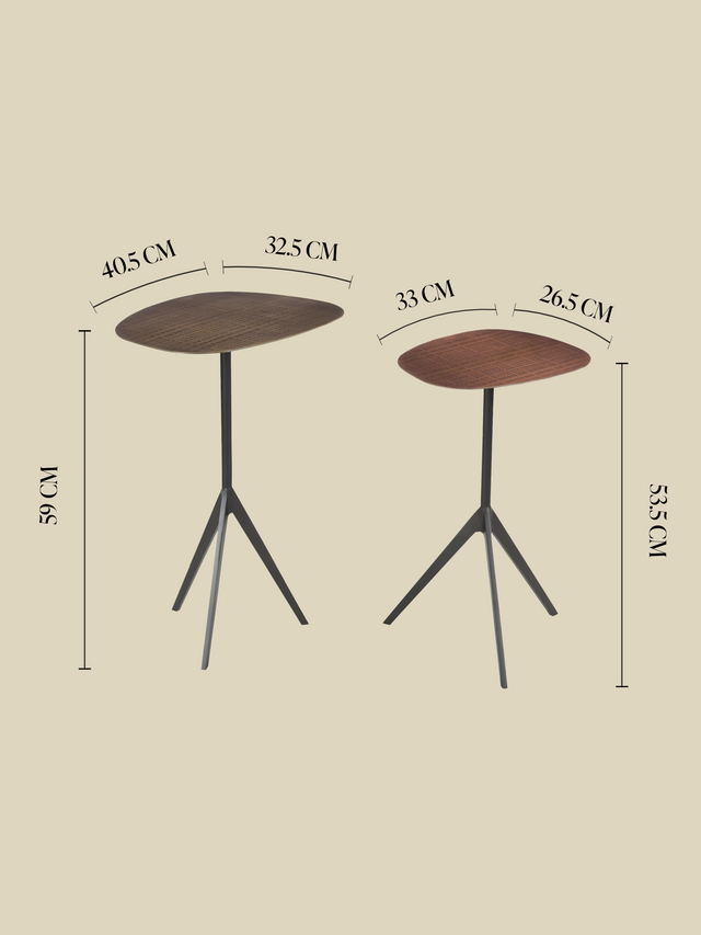 Ember Set of 2 Iron Side Tables