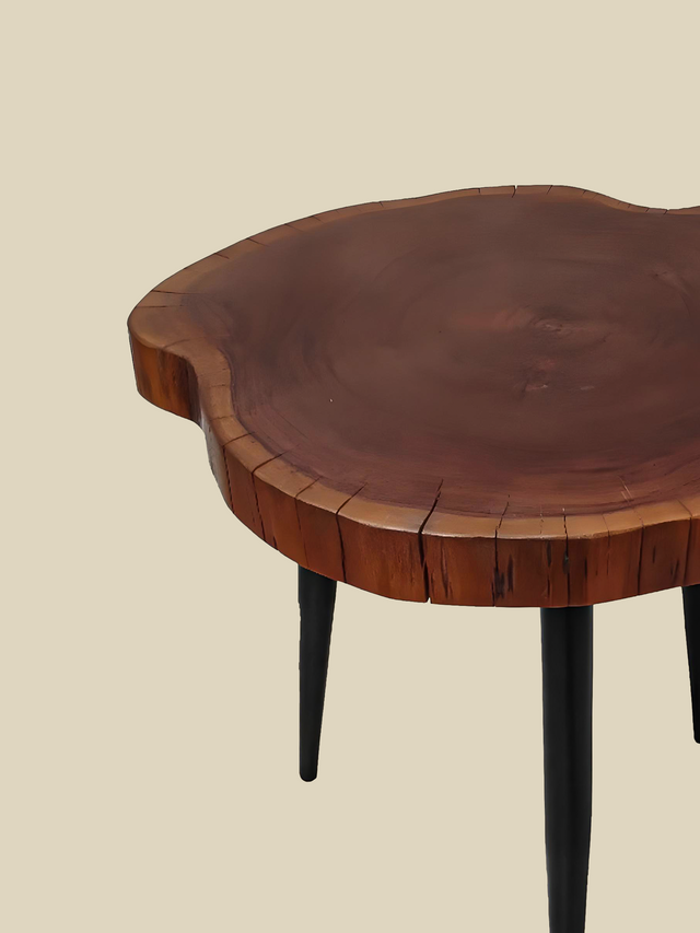 Logan Organic Shape Side Table - Large