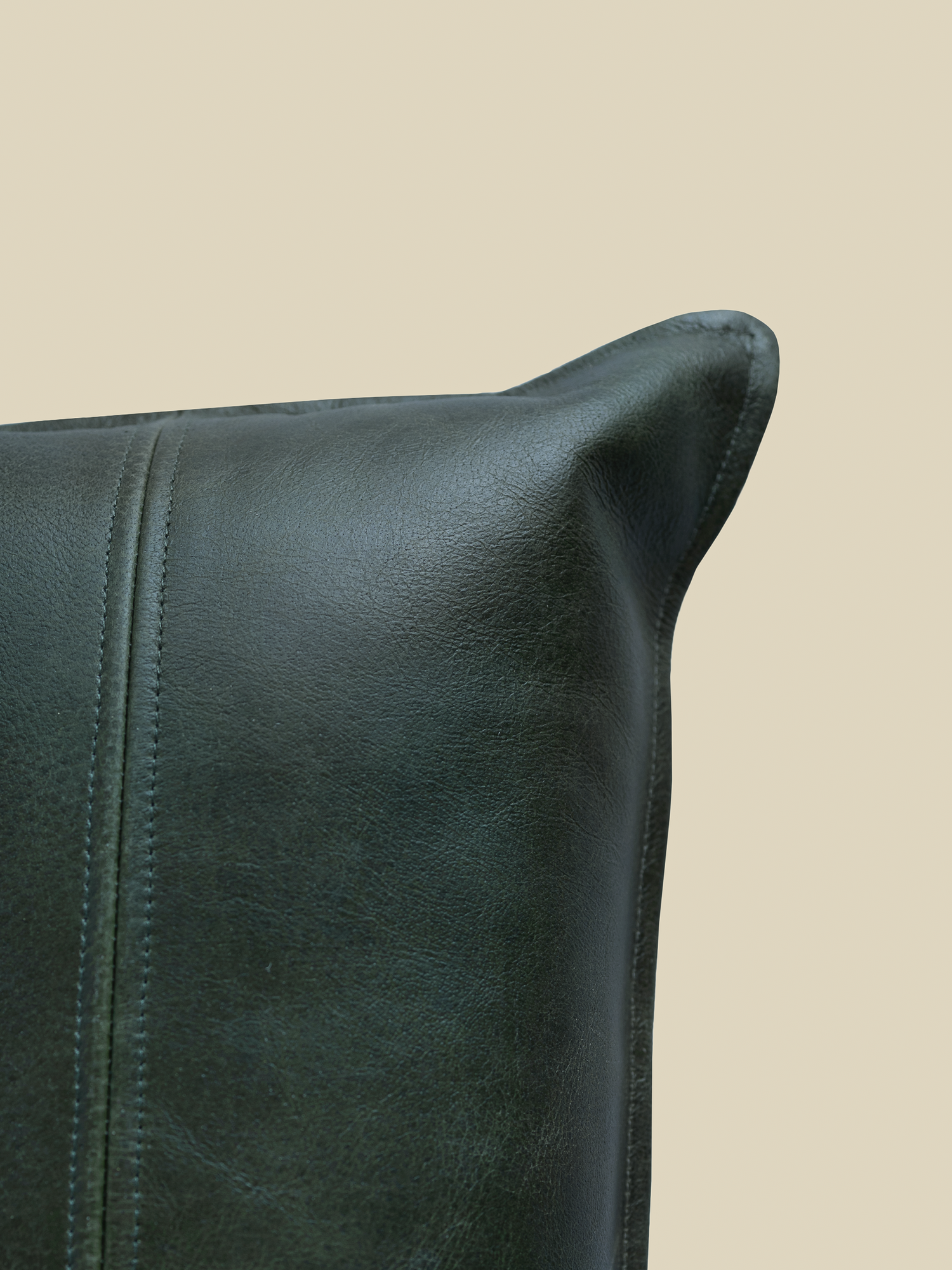 Sloane Green Leather Cushion