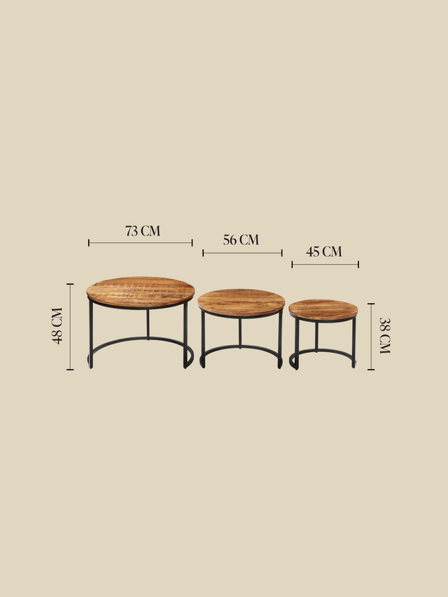 Silvana Mango Wood Nesting Coffee Table