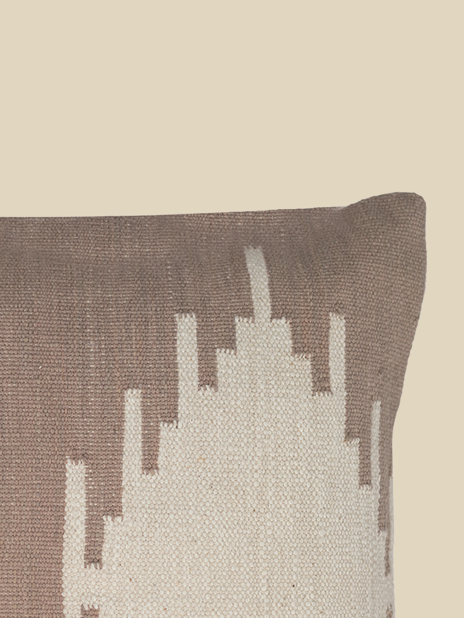 Rover Ikat Cotton Cushion