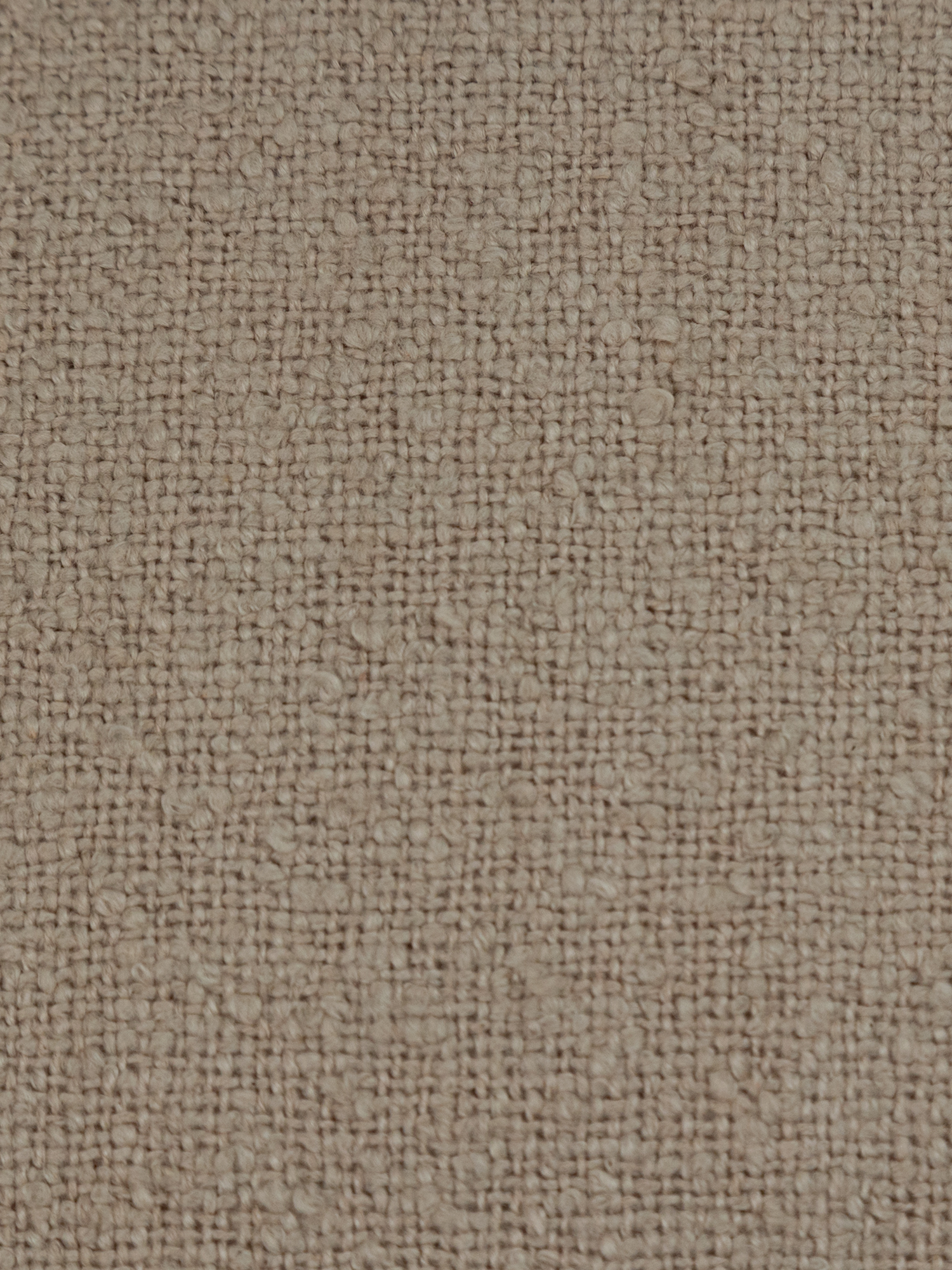 Sylva Cotton Cushion