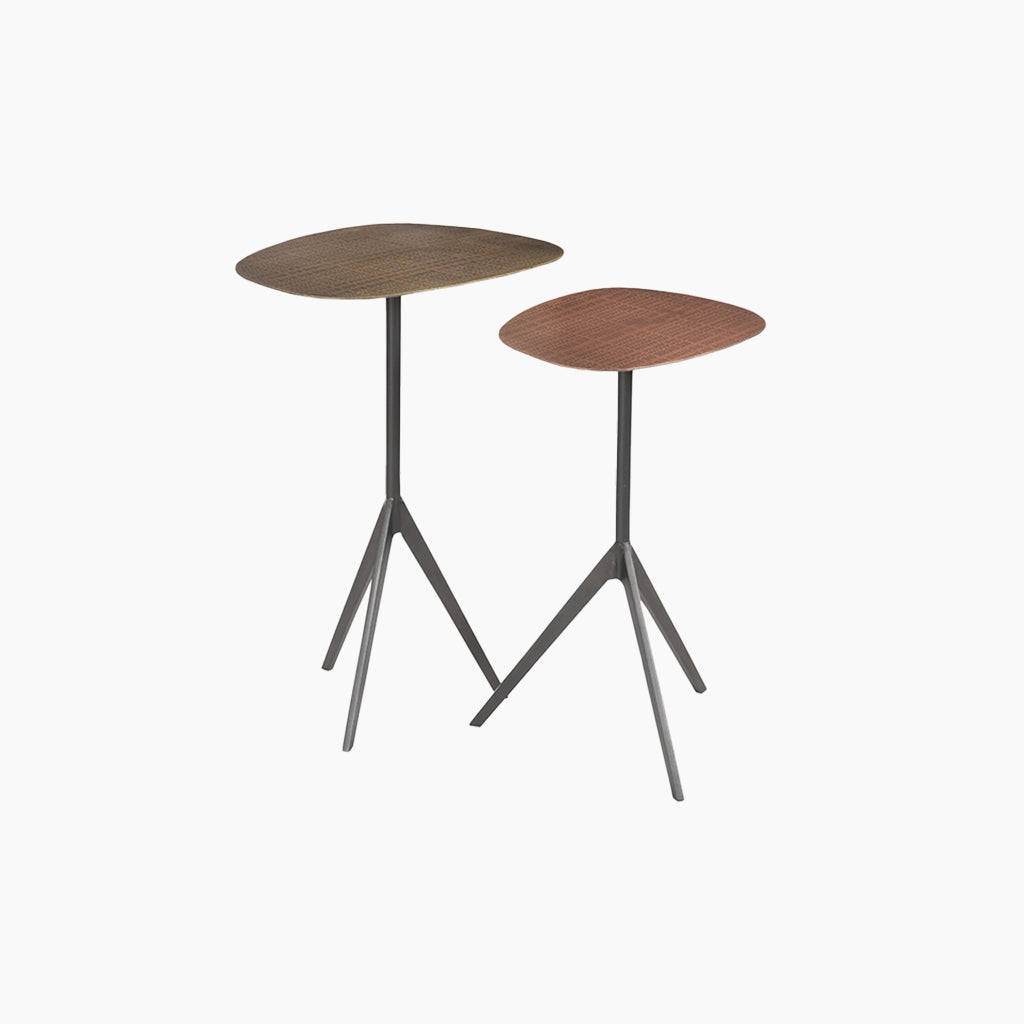 Rosier Set of 2 Iron End Table