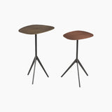 Rosier Set of 2 Iron End Table