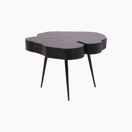 Phoebe End Table