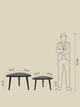 Cairo Wooden Nesting Coffee Tables - Black