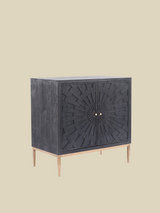 Verve Two Door Wooden Cabinet