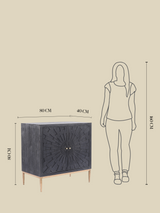 Verve Two Door Wooden Cabinet