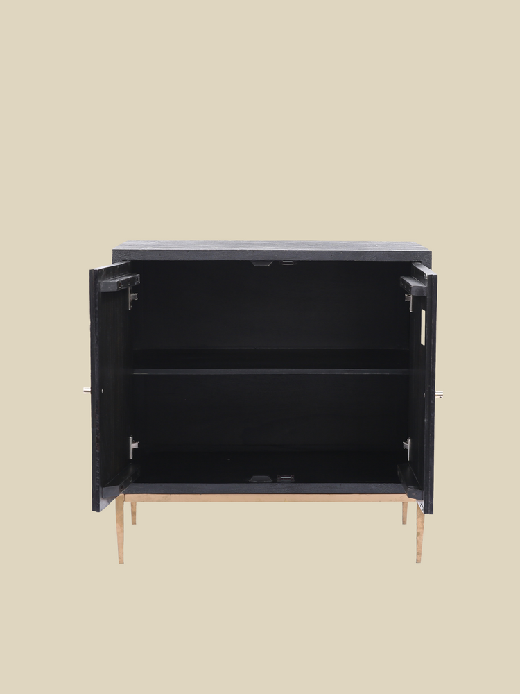 Verve Two Door Wooden Cabinet