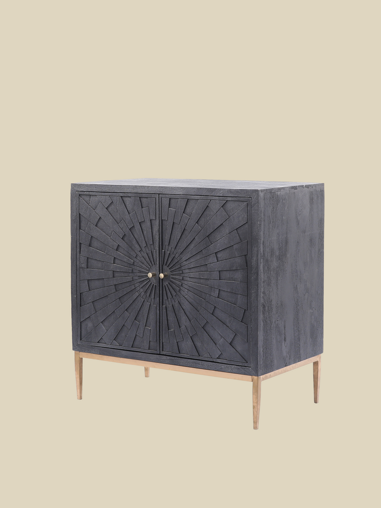 Verve Two Door Wooden Cabinet