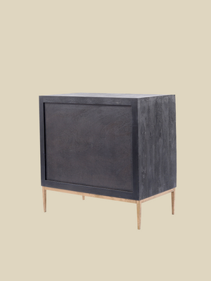 Verve Two Door Wooden Cabinet