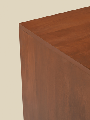 Menlo Two Door Wooden Cabinet