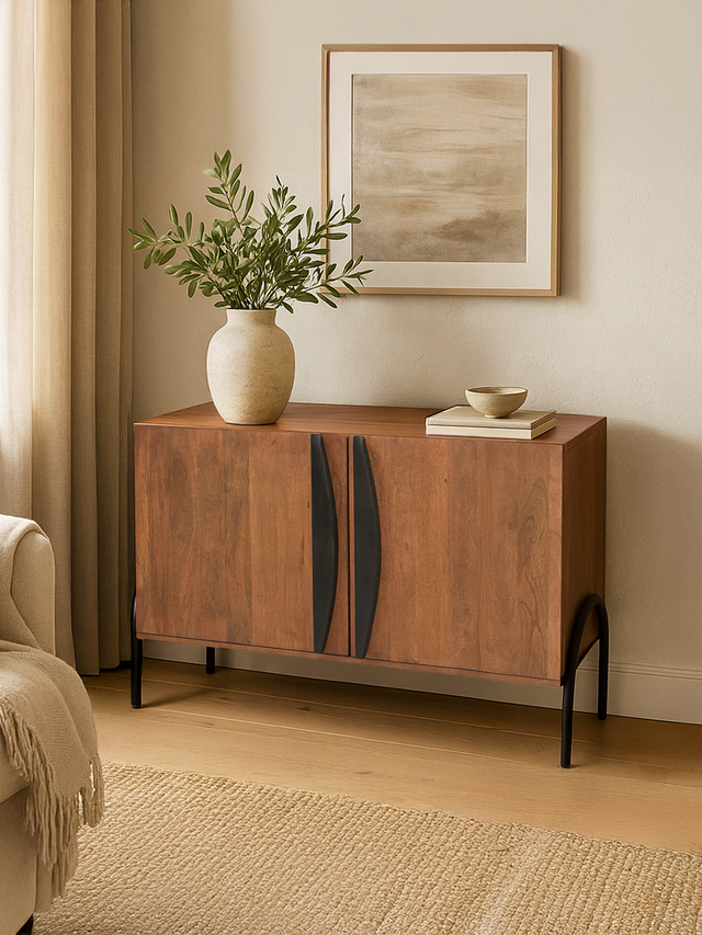Danton Two Door Wooden Cabinet