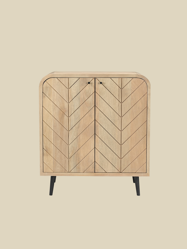 Cayman Two Door Wooden Cabinet
