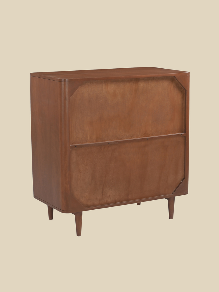 Ariso Mango Wood Two Door Cabinet