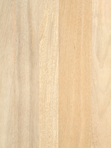Luce Mango Wood Two Door Cabinet