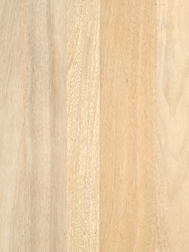 Luce Mango Wood Two Door Cabinet