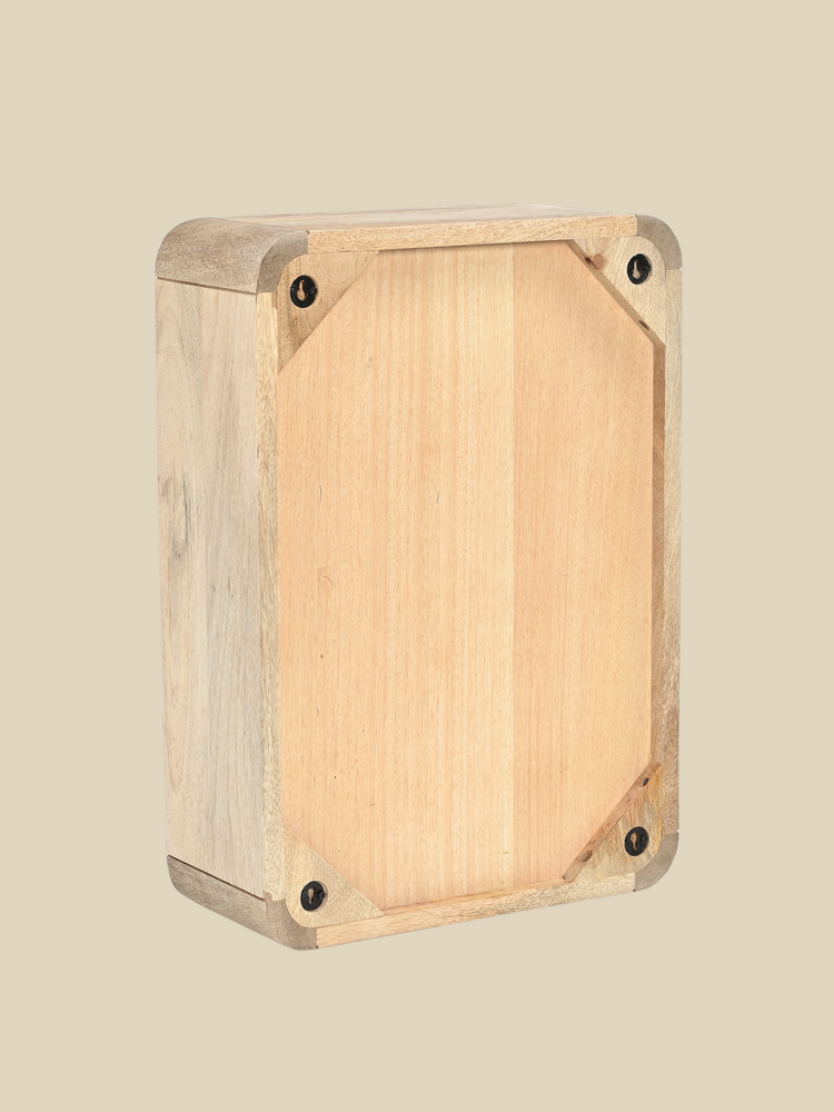 Luce Mango Wood One Door Cabinet