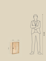 Luce Mango Wood One Door Cabinet