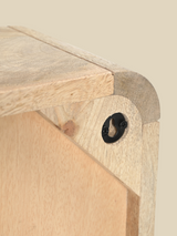 Luce Mango Wood One Door Cabinet