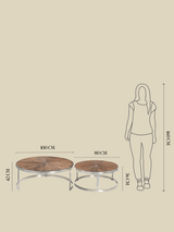 Leo Reclaimed Wood Nesting Coffee Tables