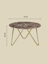 Aiden Marble Coffee Table - Gold Base