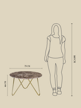 Aiden Marble Coffee Table - Gold Base