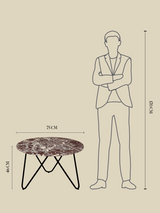 Edwin Marble Coffee Table - Black Base