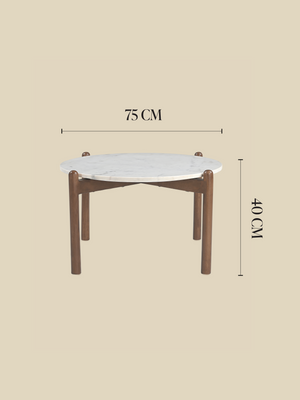 Charmie Marble Top Coffee Table