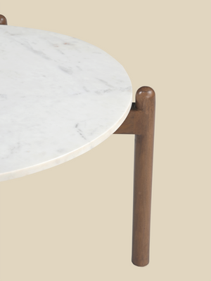 Charmie Marble Top Coffee Table