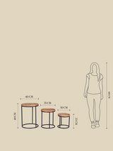 Marco Mango Side Table - Set Of 3