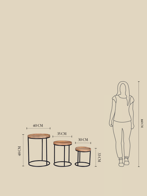 Marco Mango Side Table - Set Of 3