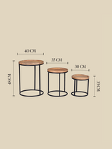 Marco Mango Side Table - Set Of 3