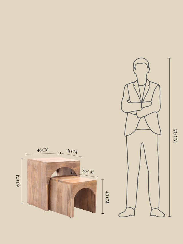 Joe Mango Wood Side Table - Set Of 2