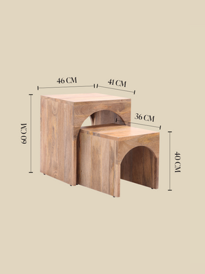Joe Mango Wood Side Table - Set Of 2