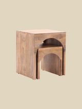 Joe Mango Wood Side Table - Set Of 2