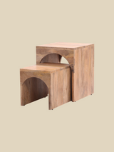 Joe Mango Wood Side Table - Set Of 2
