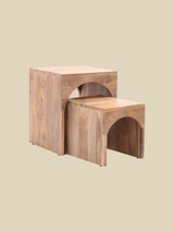Joe Mango Wood Side Table - Set Of 2